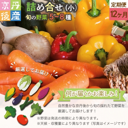 京丹後産・旬の野菜 5～8種詰め合わせ（小）　12ヶ月