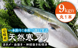 一本釣りで活き〆、神経抜き、血抜き処理された鮮度抜群の天然寒ブリを水揚げ即日配送！※画像はイメージです。【保存方法について】適当な大きさにさばいたら冷蔵庫へ。鮮度処理していますので翌日でも鮮度は落ちま