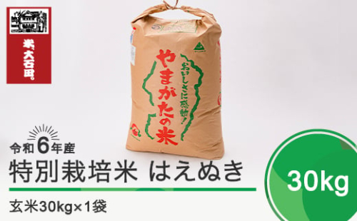 令和5年3月上旬発送 はえぬき30㎏ 玄米 令和4年産 416843 - 山形県大石田町