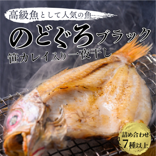 のどくろ、笹カレイ入り 一夜干し詰め合わせ ブラック 416965 - 京都府京丹後市