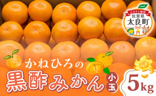 L-39 かねひろの黒酢みかん（小玉）　新鮮 黒酢 アミノ酸 みかん 蜜柑 ミカン 温州みかん 5kg 甘い 柑橘 果実 フルーツ オレンジ 人気 おすすめ 贈答 ギフト 正月 実家 産地 九州 佐賀県 太良町 L39 