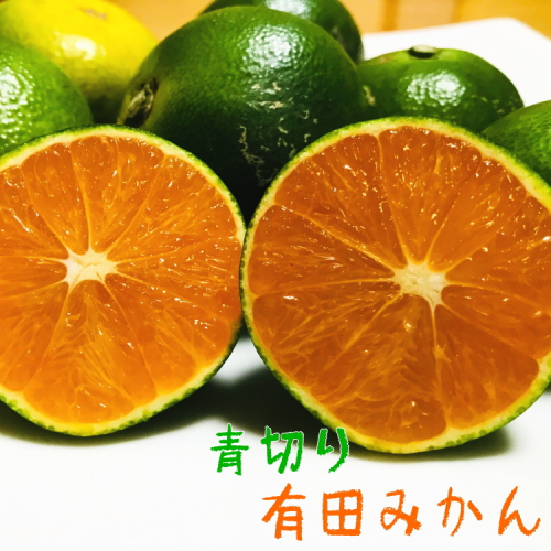 【先行予約】【初秋の美味】【9～10月発送】有田育ちのご家庭用訳あり濃厚青切り有田みかん　約10kg
※2024年9月中旬～10月中旬頃に順次発送予定　※沖縄・離島への配送不可 417229 - 和歌山県美浜町
