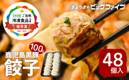 【ふるさと納税】鹿児島黒豚100％餃子 48個入り K027-008