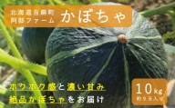 【2024年産予約】かぼちゃ10kg　北海道当麻町産ダークホース