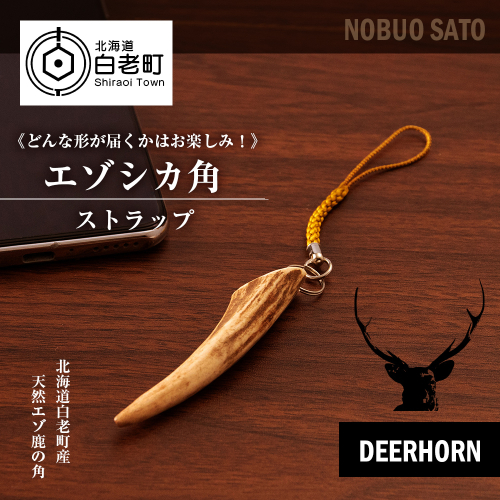 《どんな形が届くかはお楽しみ！》 エゾシカ角ストラップ （角） 417523 - 北海道白老町