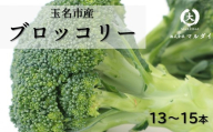 玉名市産 ブロッコリー 13～15本 | 野菜 やさい ミネラル 豊富 熊本県 玉名市