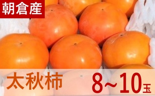 太秋柿 3kg（8～10玉） 417772 - 福岡県朝倉市