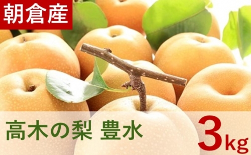 高木の梨 豊水 3kg（5～6玉） 417777 - 福岡県朝倉市