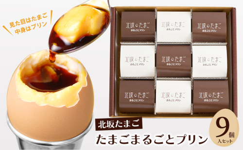 北坂たまごまるごとプリン９個入セット 417830 - 兵庫県淡路市