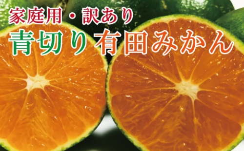 【先行予約】【2024年9月中旬～10月中旬頃発送予定】【初秋の美味】【農家直送】有田育ちのご家庭用訳あり濃厚青切り有田みかん　約5kg　【ard045A】 417860 - 和歌山県北山村