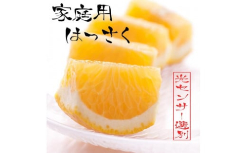 ［先行予約］家庭用 はっさく5kg+250g（傷み補償分）【八朔みかん】【訳あり・わけあり】［IKE29］ 418025 - 和歌山県那智勝浦町