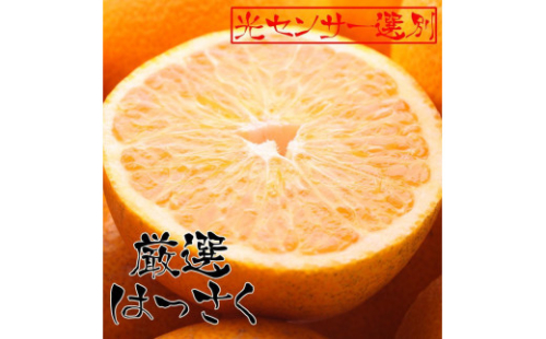 ［先行予約］厳選 はっさく5kg+250g（傷み補償分）［八朔みかん］［光センサー選別］［IKE26］ 418026 - 和歌山県那智勝浦町