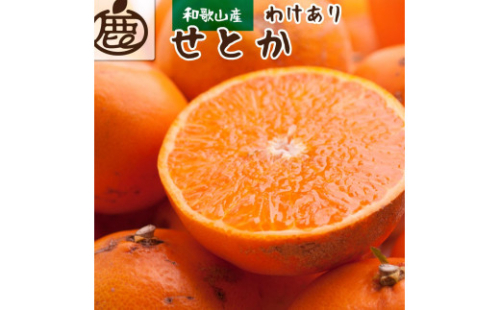 ［先行予約］家庭用 せとか1kg+250g（傷み補償分）［柑橘・春みかんの王様］［わけあり・訳あり］［光センサー選果・食べ頃出荷］［IKE118］ 418135 - 和歌山県那智勝浦町