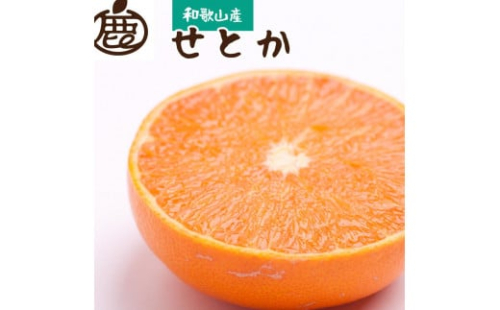 ［先行予約］厳選 せとか2.5kg+250g（傷み補償分）［柑橘・春みかんの王様］［光センサー選果・食べ頃出荷］ ［IKE61］ 418139 - 和歌山県那智勝浦町