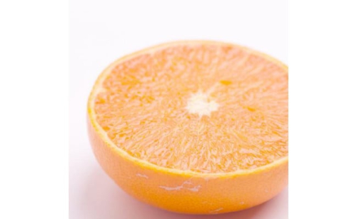 ［先行予約］家庭用 せとか2.5kg+250g（傷み補償分）［柑橘・春みかんの王様］［わけあり・訳あり］［光センサー選果・食べ頃出荷］［IKE62］ 418145 - 和歌山県那智勝浦町