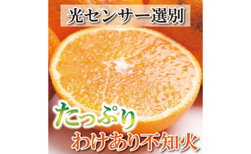 ＜2月より発送＞家庭用 不知火4kg+120g（傷み補償分）【デコポンと同品種・人気の春みかん】【わけあり・訳あり】【光センサー選別】 418150 - 和歌山県那智勝浦町