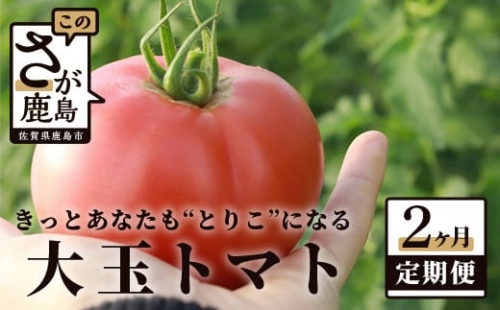 B-508  たにぐちファーム 大玉トマト Ricotomato とりこになるトマト【4kg×2回定期便】