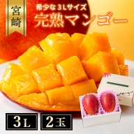 完熟 マンゴー 3L 2玉 化粧箱 宮崎 高級 果物 フルーツ 濃厚 ギフト のし 贈答 先行受付 送料無料（04-78）
