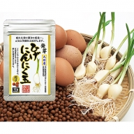 佐賀の昔ながらの手作りにんにく卵黄：A085-006