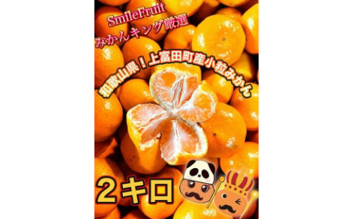 ［先行予約］小粒みかん2kg　高糖度！みかんの里！［SmileFruitみかんキング厳選］2026年10月下旬以降順次発送 418716 - 和歌山県上富田町