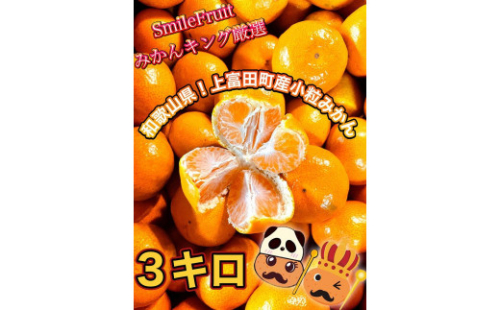 ［先行予約］小粒みかん3kg　高糖度！みかんの里！［SmileFruitみかんキング厳選］2026年10月下旬以降順次発送 418717 - 和歌山県上富田町