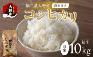 【令和5年産】福井県大野市産  コシヒカリ 白米 精米 10kg 農家直送