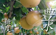 【糖度12度以上】彩りファームの完熟梨　プレミアム豊水　約2.5kg　【11246-0150】