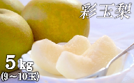 梨 白岡の梨「白岡美人」 彩玉 約5kg(9玉〜10玉) | なし ナシ さいぎょく 埼玉県 白岡市