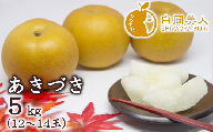 白岡の梨「白岡美人」あきづき梨約5kg(12〜14玉) | なし ナシ 秋月 白岡の梨 白岡美人 埼玉県 白岡市