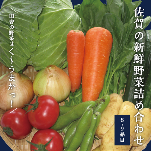 新鮮・季節の野菜詰め合わせ：A007-001
