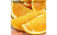 秀品　希少な国産バレンシアオレンジ　2.5kg　※2024年6月下旬頃～7月上旬頃順次発送（お届け日指定不可）【uot752】