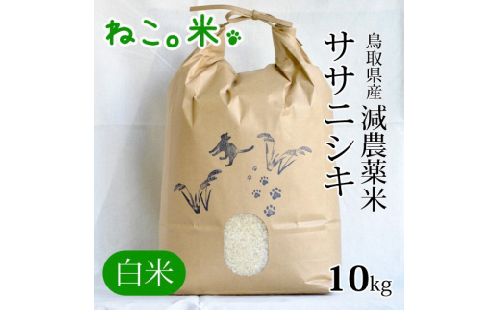 減農薬米 ササニシキ（１０ｋｇ）