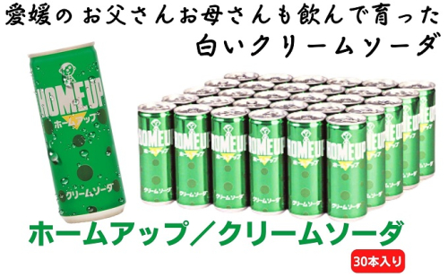 らくれんホームアップ　30本入り クリームソーダ 炭酸飲料 419508 - 愛媛県東温市