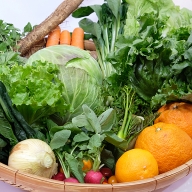 旬の野菜と果物セット：B018-049