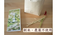 FB-23 新米令和4年度産・農薬不使用『幻のお米　農林22号』20キロ【7分づき】