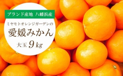 C25-90.ミヤモトオレンジガーデンの愛媛みかん９kg(大玉）【訳あり】