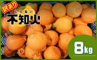 ≪ 訳あり ≫ 不知火 熊本県産 8kg | フルーツ 果物 くだもの 柑橘 みかん ミカン オレンジ しらぬい 熊本県 玉名市