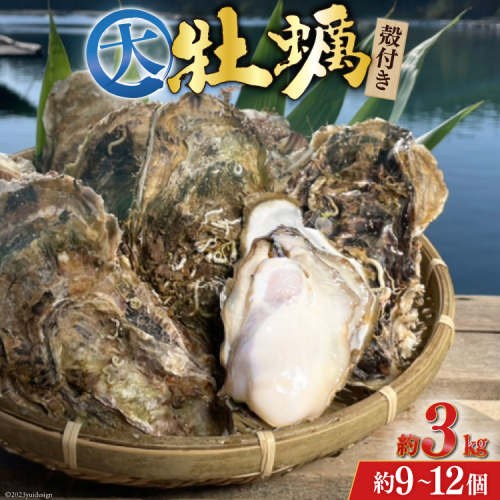 【期間限定発送】 TVで紹介！ 牡蠣 大粒 3～4年モノ 生食 殻付き牡蠣 約3kg(約9-12個入) [住喜水産 宮城県 気仙沼市 20564160] 期間限定 冷蔵 新鮮 濃厚 真牡蠣 カキ かき 生牡蠣 魚貝類 生牡蠣 貝 海鮮 魚介類 なべ カキフライ 牡蠣ご飯 魚介 421402 - 宮城県気仙沼市