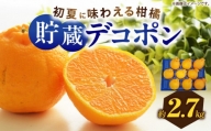 初夏に味わえる柑橘 貯蔵デコポン 約2.7kg【2025年5月中旬～2025年6月下旬配送】