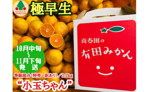 極早生 有田 みかん 小玉ちゃん 等級 混合 2.2kg 南泰園 和歌山 有田みかん 421942 - 和歌山県有田川町