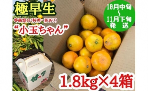 【極早生・有田みかん】“小玉ちゃん”／等級混合・約1.8kg×4箱