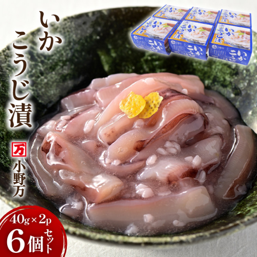 いかこうじ漬 40g×2P 6個セット [小野万 宮城県 気仙沼市 20565720] 魚 魚介類 いか イカ 塩辛 イカ塩辛 麹漬け こうじ漬け 小分け 食べきりサイズ 酒の肴 おつまみ ご飯のお供 冷蔵 422156 - 宮城県気仙沼市
