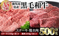 A327 上質な赤身肉を食べ比べ！A5鹿児島県産黒毛和牛赤身ステーキ＆赤身焼肉　500ｇ