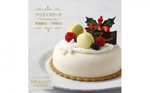 2A009a 【数量限定】ノエルフロマージュクリュ（冷凍クリスマスケーキ）