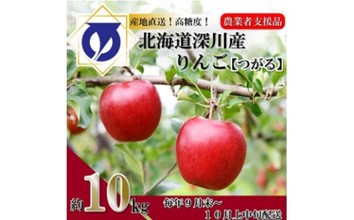 <令和5年産先行受付>北海道深川産りんご(つがる)10kg<ふるさと納税>【1298286】 422993 - 北海道深川市