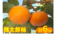 【ご家庭用】輝太郎柿（きたろうかき）6kg 【10月上旬～10月下旬お届け】