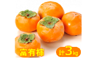 富有柿（ふゆうがき）3kg 【11月上旬から11月下旬お届け】