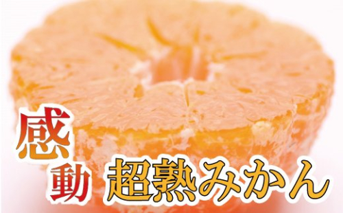 家庭用　超熟有田みかん5kg+150g（傷み補償分）【わけあり・訳あり】【菊みかん入り】【光センサー選別】＜11月上旬より順次発送予定＞【ikd019B】 423686 - 和歌山県北山村