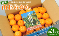 一度食べたらくせになる！高知県産 山北みかん 約3kg(露地栽培 2S～Lサイズ） 甘い - 温州みかん 3kg 果物 フルーツ 温州みかん ミカン 蜜柑 柑橘 甘い おいしい お取り寄せ ku-0019