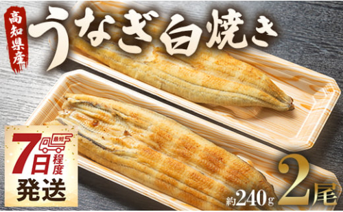 うなぎ屋きた本 うなぎ白焼き120g2尾セット(無頭) C-155 424299 - 高知県香南市